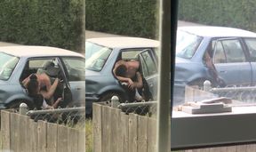 Neighbors Caught Horny Couple Outside